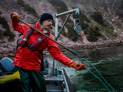 A Year in the Field (2020)