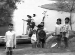 Acupuncture and Herbal Medicine (1978)