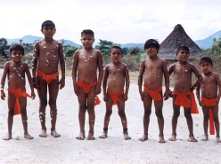 Ajishama, the White Ibis (2003)