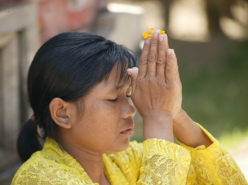 The Bird Dancer (2010)