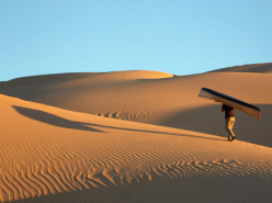 Blind Bird Singing Rain (2012)