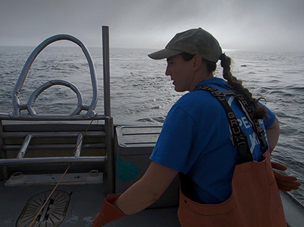 Call Us Fishermen – David Wells