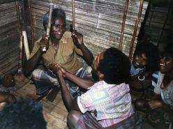 A Celebration of Origins (1992)