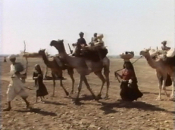 Close Encounters of No Kind (2002)