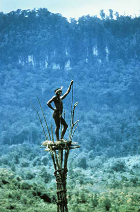 Image from DEAD BIRDS (1964)