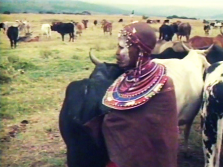 Diary of a Maasai Village 5 (1985)