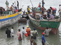 Fishers of Dar (2001)