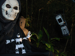 Ghosts and Numbers (2009)