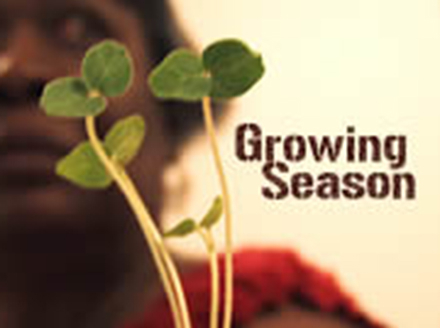 Growing Season - Jennifer Malin