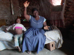 Today the Hawk Takes One Chick (2008)