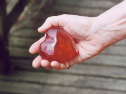 The Heart's Nebula (La Nébuleuse du cœur) (2005)