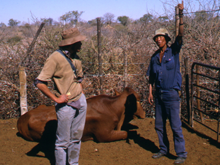 Kalahari Family 4: Standing Tall (2002)