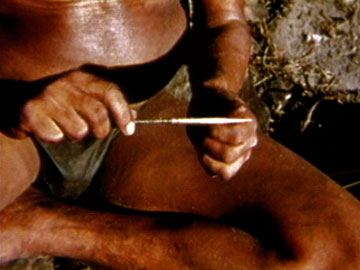 !Kung Bushmen Hunting Equipment (1972)