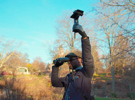 Highest Nature – Elle Rose Rinaldi