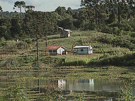 Our Territory (2000)