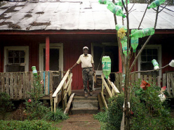 DER Film Parallel Lines