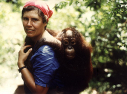 Primate Patterns II (1997)