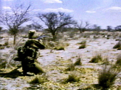 Pull Ourselves Up or Die Out (1980-1984)