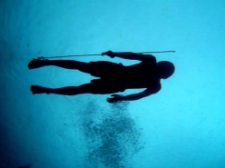 Sailing a Sinking Sea