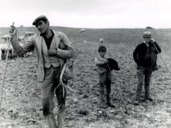 The Shepherd's Family (1987)