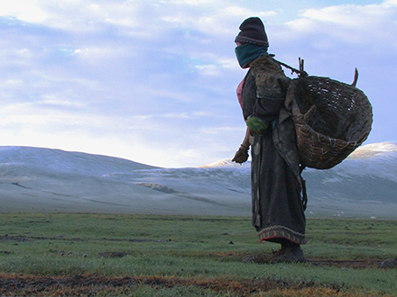 Summer Pasture (2010)