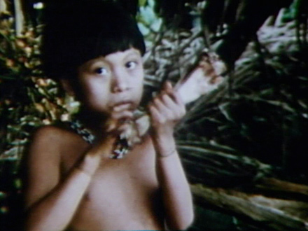 Tapir Distribution (1975)