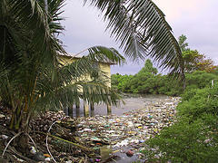 The Disappearing of Tuvalu: Trouble In Paradise (2004)