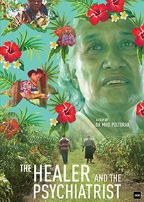 The Healer and the Psychiatrist (2020)
