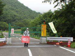 The New Normal - Thorsten Trimpop