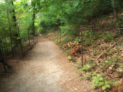 Wander, Wonder, Wilderness - Paul Turano