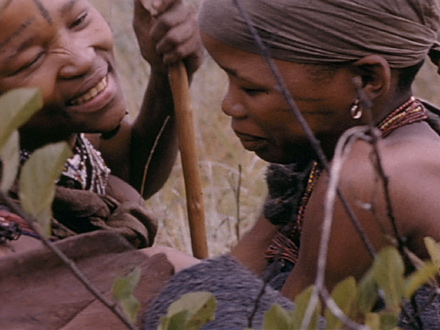 The Wasp Nest (1972)