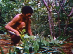 Weeding the Garden (1974)
