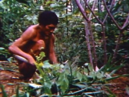 Weeding the Garden (1974)
